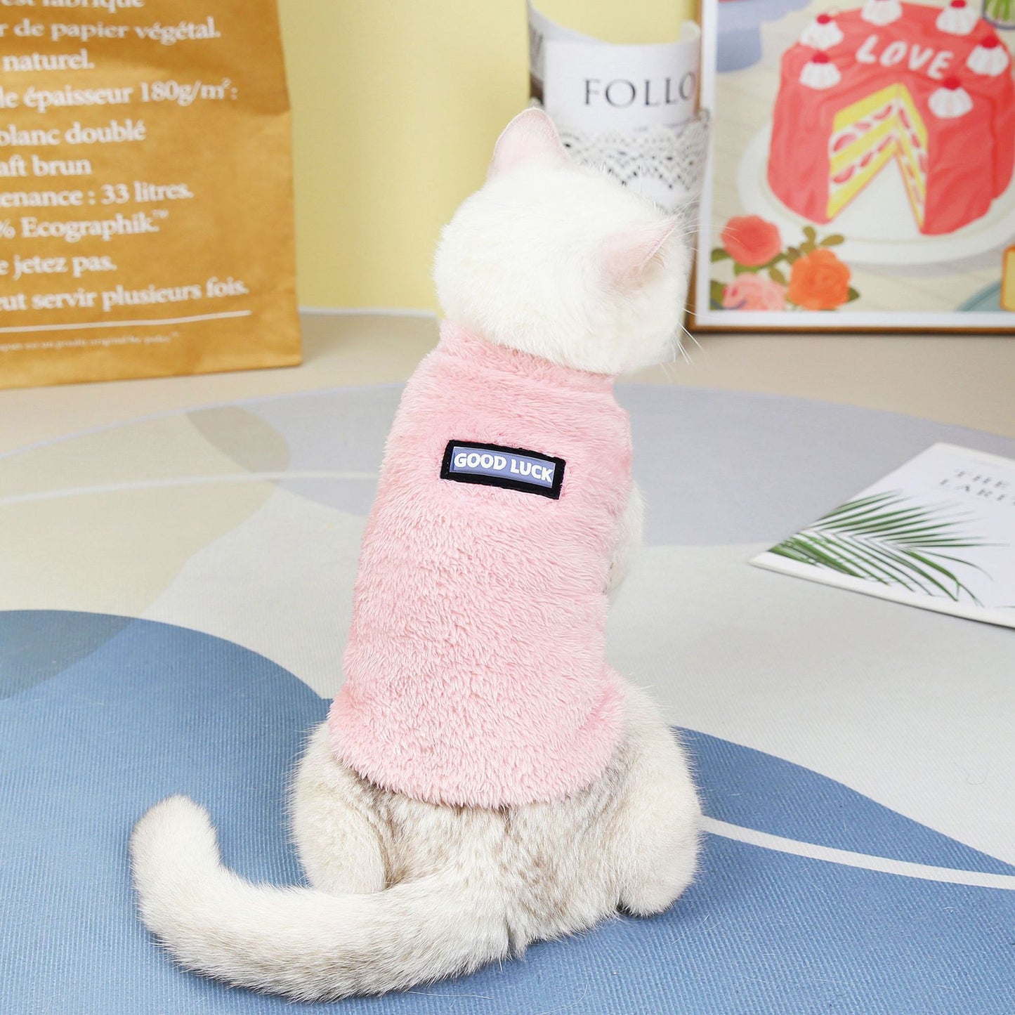 Pet Cats Fall And Winter