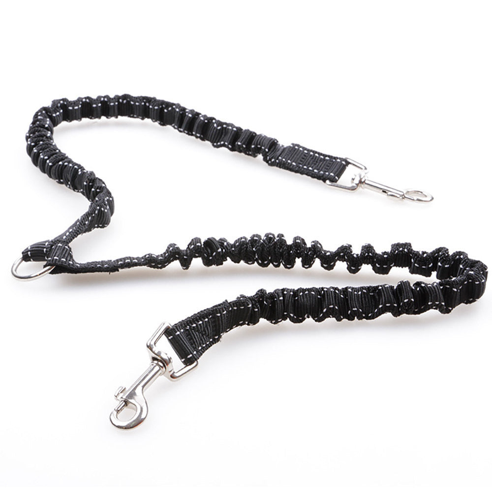 Two Leashes Pets