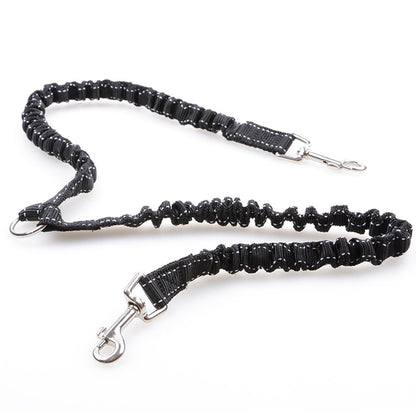 Two Leashes Pets