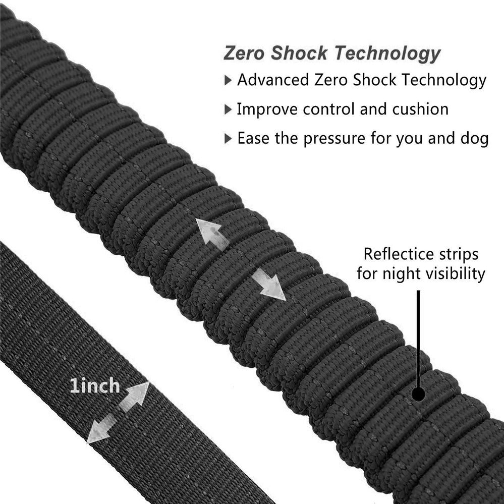 Dog Leash