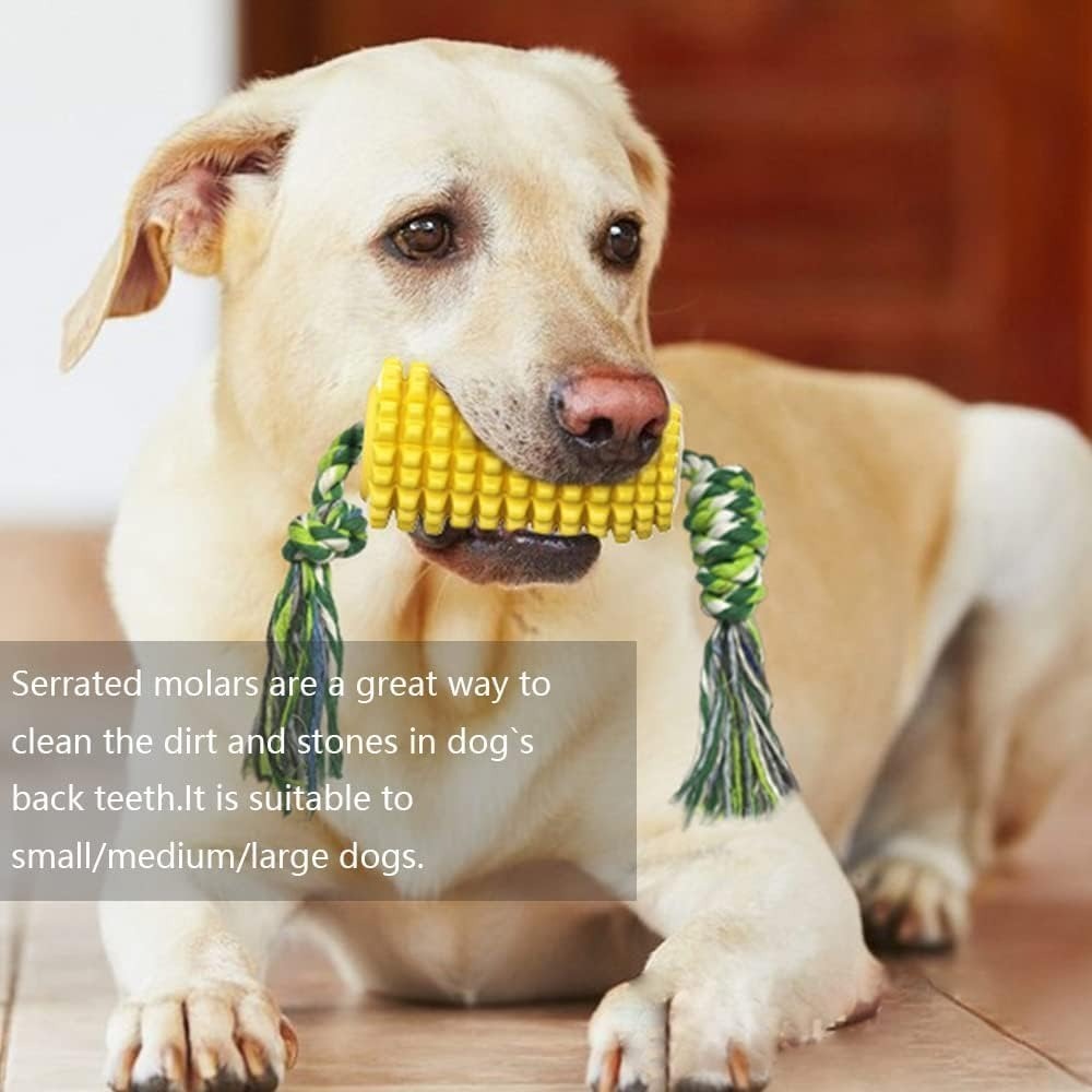 Dog Toys suitable for Chewing