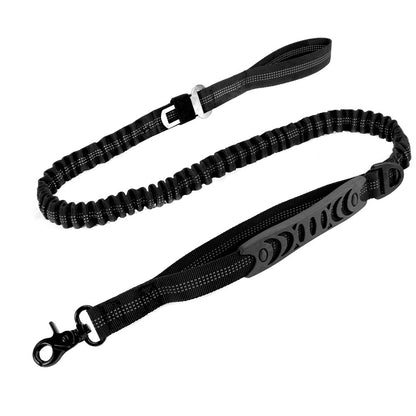 Dog Leash
