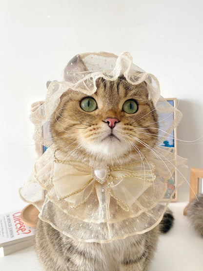 Netizens Pets Hats